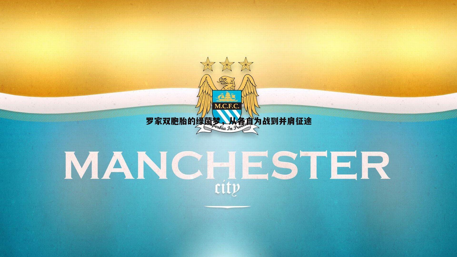 罗家双胞胎的绿茵梦，从各自为战到并肩征途